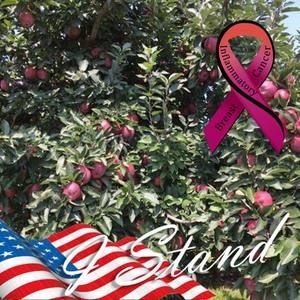 Meet your Posher, Nellie